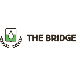The Bridge srl